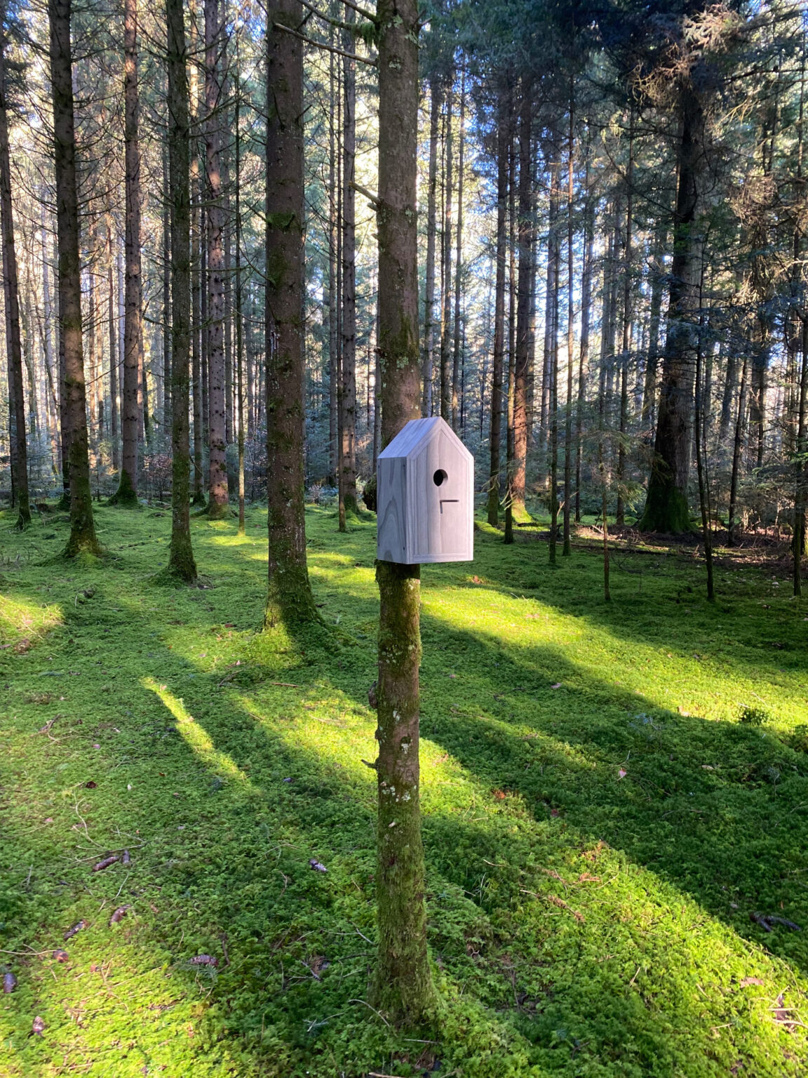 Produkte Vogelhaus